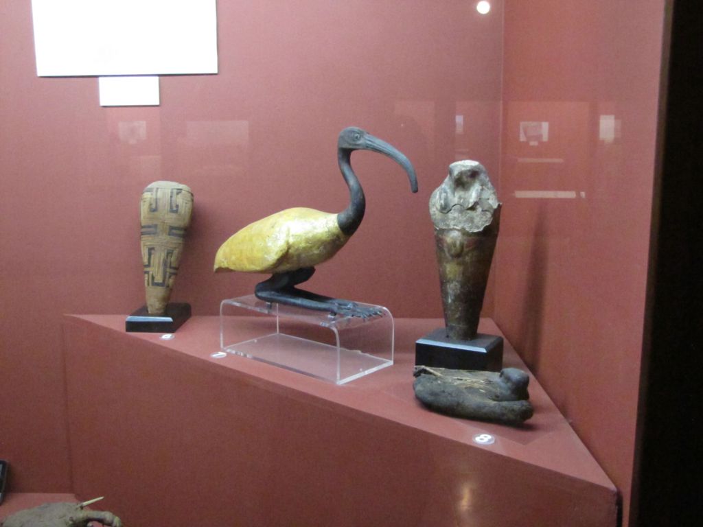 Display case with images of Horus and Ibis