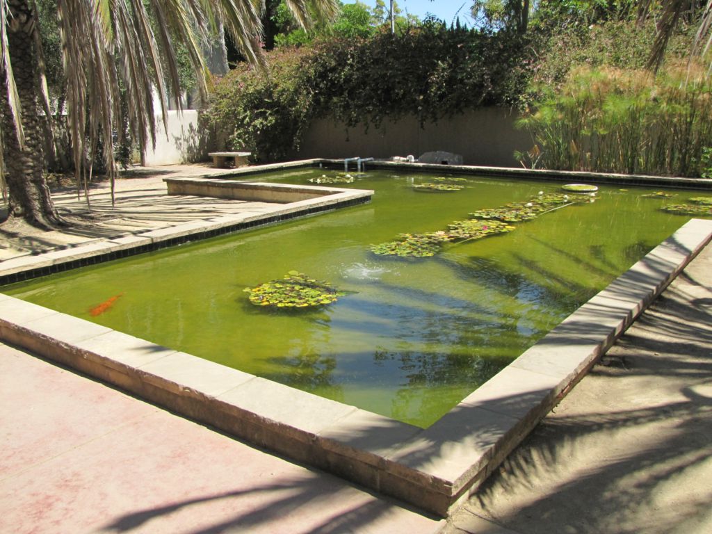 Photo of a beautiful reflecting pool.