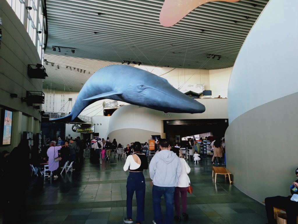 Photo of Alyssa, Marc, and Gloria enter the lobby of the Aquarium of the Pacific