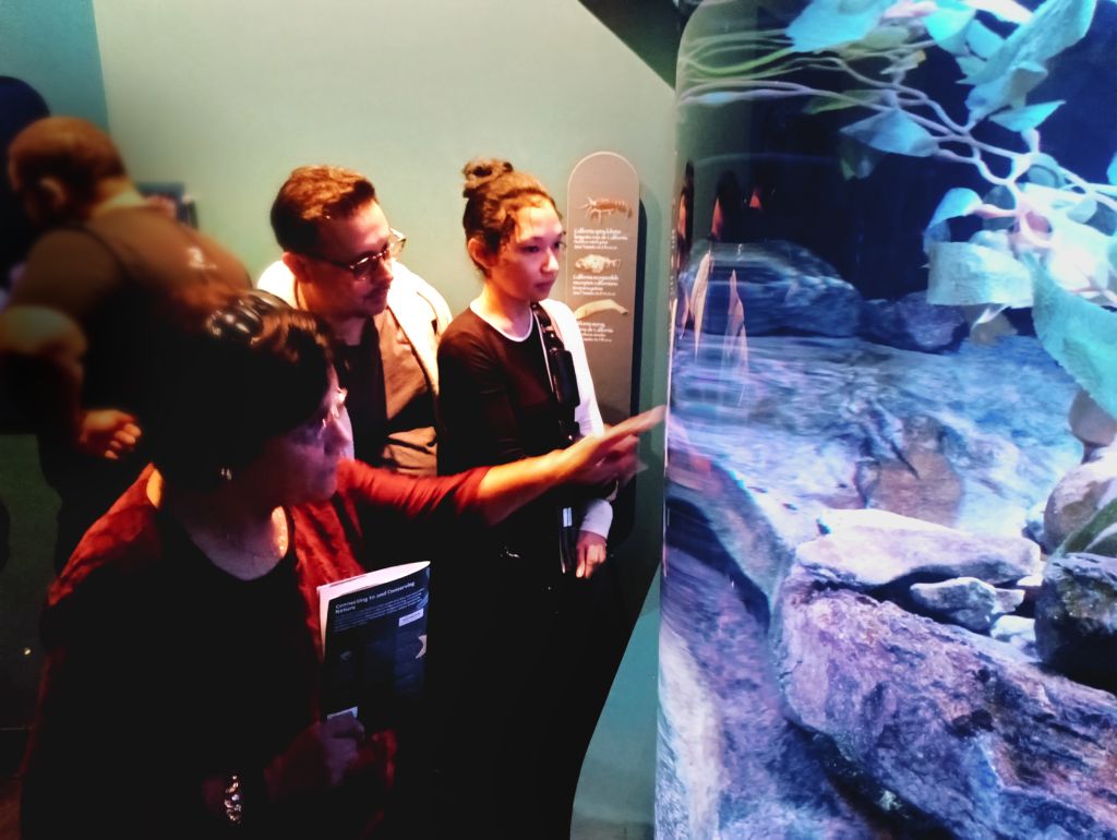 Photo of Alyssa, Marc, and Gloria looking into a fish tank.